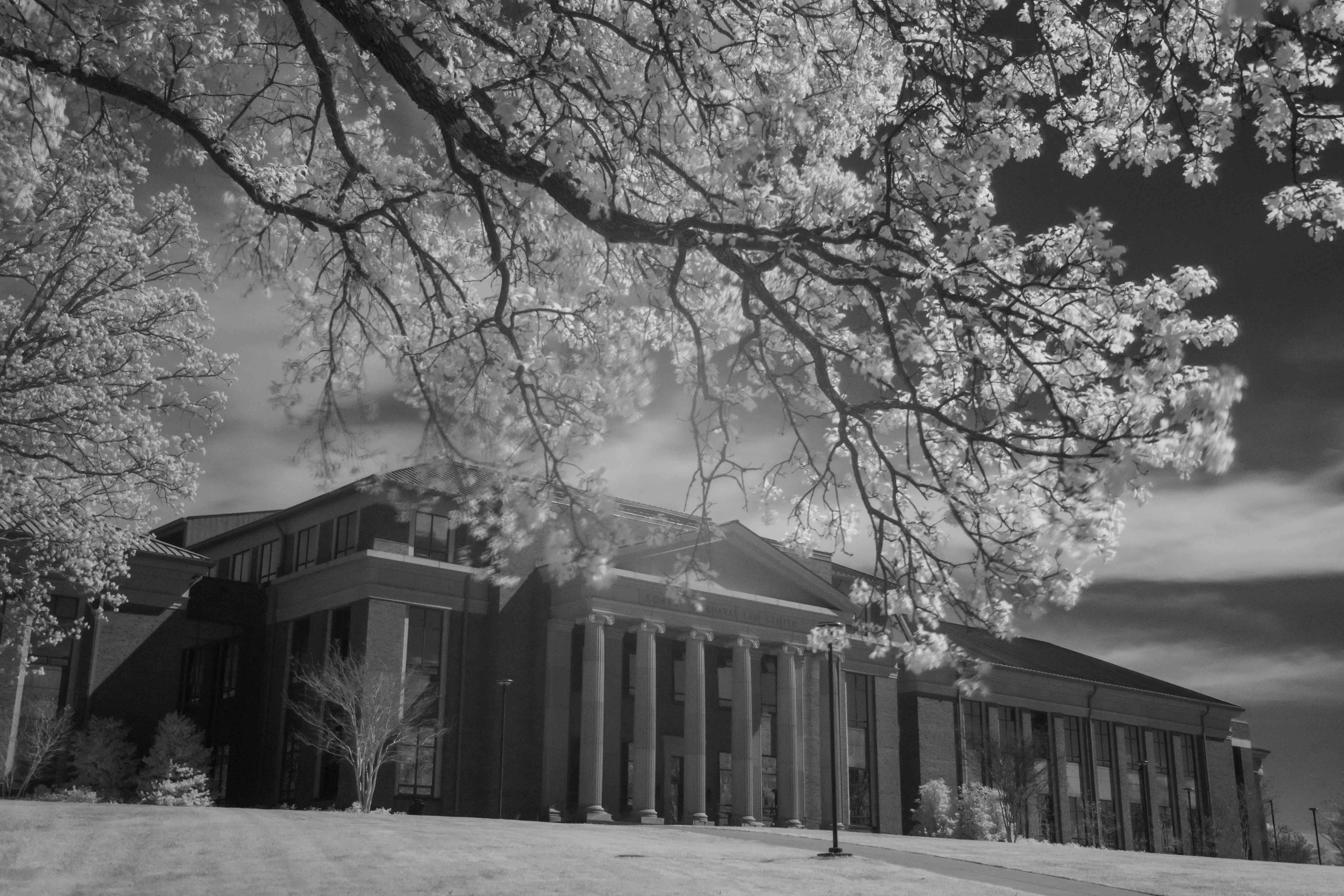 black and white photo of law school