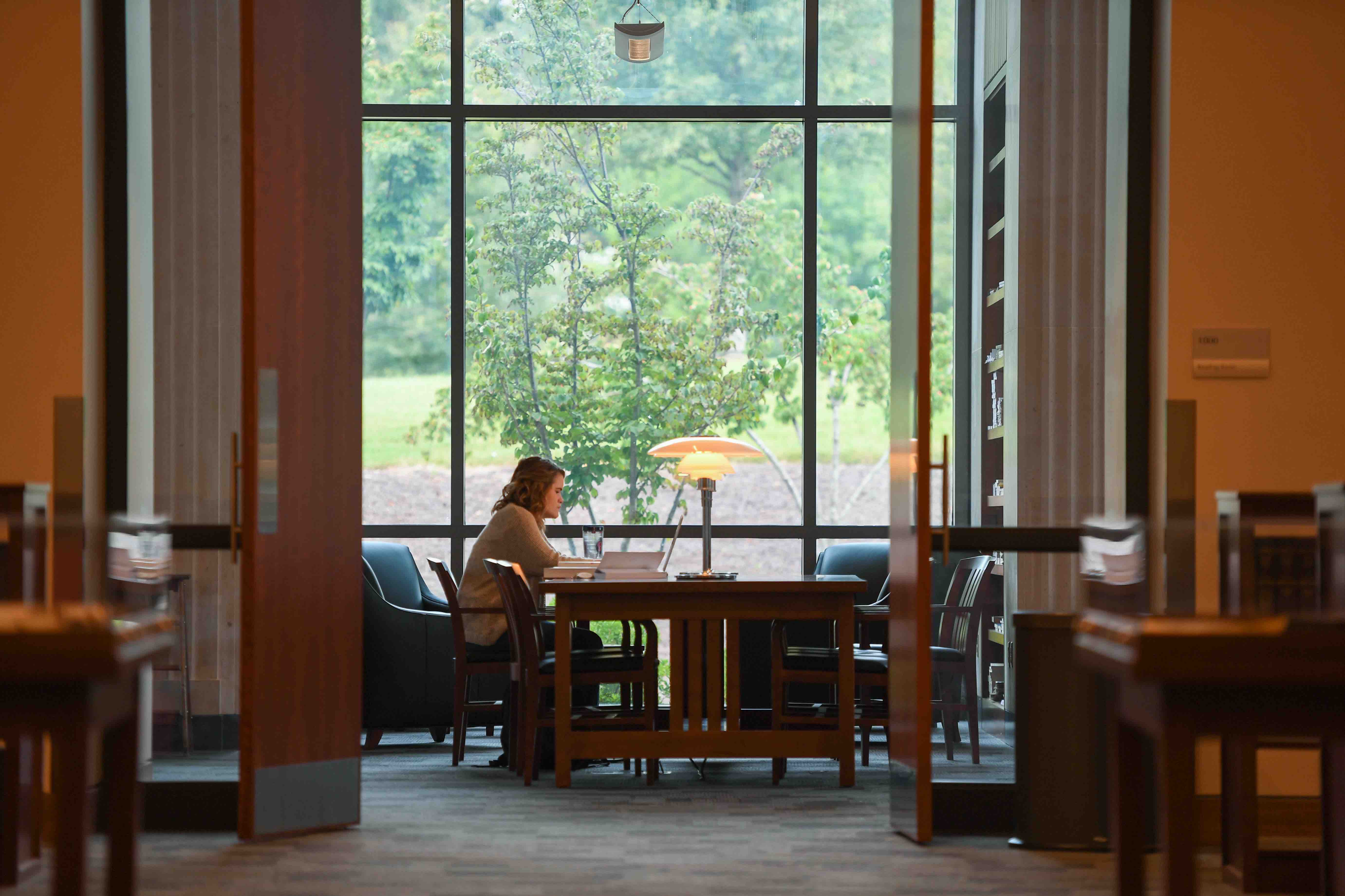 student studying in law library 